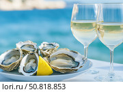 Indulge in a Luxurious Seafood Experience: Freshly Shucked Oysters Paired with Crisp White Wine Against a Scenic Coastal Backdrop. Стоковое AI-изображение, AI-художник Башкирова Анна / Фотобанк Лори