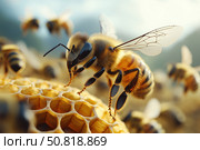A Close-Up View of a Busy Honeybee Collecting Nectar on Honeycomb Surrounded by Fellow Bees in a Lush Environment Highlighting Nature's Pollinators. Стоковое AI-изображение, AI-художник Башкирова Анна / Фотобанк Лори