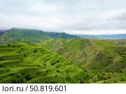 Зеленые земледельческие террасы в тумане. В горах Дагестана. Стоковое фото, фотограф Александр Тараканов / Фотобанк Лори