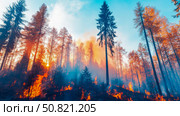 Infernos Grip: Scorched Earth, Whispers of Smoke, and Fiery Breath Amidst Towering Pines. Стоковое AI-изображение, AI-художник Данила Большаков / Фотобанк Лори