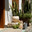A picturesque narrow street in the city of Kash, Turkey. Flowers in planters, landscaping. Стоковое фото, фотограф Оксана Шведкова / Фотобанк Лори