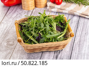 Fresh green ruccola salad leaves. Стоковое фото, фотограф Андрей Старостин / Фотобанк Лори