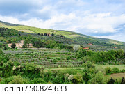 Stunning view of rolling hills with olive groves and historic buildings in Tuscany, Italy. Стоковое фото, фотограф Татьяна  Бральнина / Фотобанк Лори