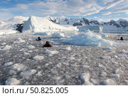 Filmmakers, photographers and scientists at work in brash ice behind Danco Island. Стоковое фото, фотограф Steve Jones/Stocktrek Images / ТАСС / Фотобанк Лори