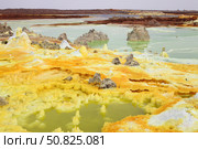 Potassium salt deposits, Dallol geothermal area, Danakil Depression, Ethiopia. Стоковое фото, фотограф Richard Roscoe/Stocktrek Images / ТАСС / Фотобанк Лори