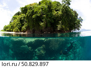 Split level view of snorkeller at Restorf Island, Papua New Guinea. Стоковое фото, фотограф Steve Jones/Stocktrek Images / ТАСС / Фотобанк Лори