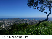 View from Tantalus Lookout overlooking Honolulu, Oahu, Hawaii. Стоковое фото, фотограф Ryan Rossotto/Stocktrek Images / ТАСС / Фотобанк Лори