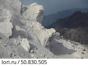 Extrusion lobes on flank of Rerombola lava dome of Paluweh volcano. Стоковое фото, фотограф Richard Roscoe/Stocktrek Images / ТАСС / Фотобанк Лори