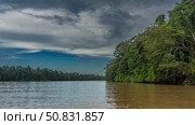 A calm tropical river. Impenetrable thickets of rain forest trees on the shores. Blue sky, clouds. Reflection on the water. Malaysia. Borneo. Kinabatangan River. (2023 год). Стоковое фото, фотограф Вера Ивановна Кубарева / Фотобанк Лори