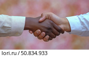Diversity in Agreement: Close-up of a multiethnic handshake symbolizing partnership and collaboration in a globalized business world. Стоковое AI-изображение, AI-художник Данила Большаков / Фотобанк Лори