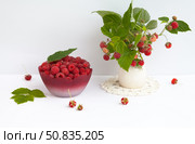 Summer rural still life with ripe freshly picked raspberries in a bowl and bouquet of raspberry branches with berries on white background. Harvesting organic vitamin berries. Dietary healthy seasonal products. Стоковое фото, фотограф Виктория Катьянова / Фотобанк Лори