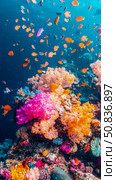 Coral Reef Ecosystem: A Thriving underwater seascape with schools of fish and vibrant coral formations. Стоковое AI-изображение, AI-художник Данила Большаков / Фотобанк Лори