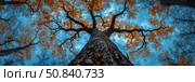 Autumnal Majesty: A towering tree reaches for the sky. Стоковое AI-изображение, AI-художник Данила Большаков / Фотобанк Лори