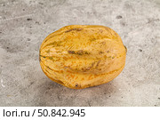 Decorative yelow pampkin seasonal vegetables. Стоковое фото, фотограф Андрей Старостин / Фотобанк Лори