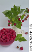 Vertical video of Beautiful summer still life with raspberries in bowl and a bouquet of raspberry branches with ripe berries on a white background. Growing organic garden berries concept. Closeup view. Стоковое видео, видеограф Виктория Катьянова / Фотобанк Лори