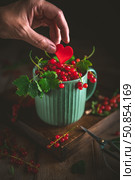 Hand gently placing a small red heart into a green mug brimming with freshly picked redcurrants, symbolizing love, care, and the bounty of nature. Стоковое фото, фотограф Ольга Ильина / Фотобанк Лори