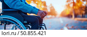 Empowerment: Life's Journey in a Wheelchair through a Sunlit Path. Support for Ability, Disability Awareness Graphic. Стоковое AI-изображение, AI-художник Данила Большаков / Фотобанк Лори
