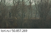 Figures Hidden in a Dense Thicket of Winter Trees. Стоковое видео, видеограф Поскребышев Михаил / Фотобанк Лори