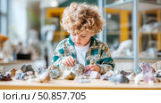 Young Paleontologist: Childs Fascination with Geology and Minerals Collection, Exploration of Earth's Treasures. Стоковое AI-изображение, AI-художник Данила Большаков / Фотобанк Лори