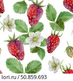 ripe strawberries with flowers and foliage, seamless pattern, drawn in watercolor for the design of. Стоковая иллюстрация, иллюстратор Екатерина Тимонова / Фотобанк Лори
