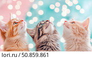 Trio of Curious Felines Gazing Upwards, Capturing a Sense of Wonder and Anticipation, Ideal for Pet-themed Greetings and Social Media. Стоковое AI-изображение, AI-художник Данила Большаков / Фотобанк Лори