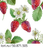 ripe strawberries with flowers and foliage, seamless pattern, drawn in watercolor for the design of. Стоковая иллюстрация, иллюстратор Екатерина Тимонова / Фотобанк Лори
