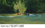 River plants grow on small rocky island surrounded by shallow current in Croatian nature park. Стоковое видео, видеограф Igor Tichonow / Фотобанк Лори