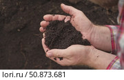 Fertile soil in male hands. Farmer hold rich land in field. Handful black soil. Natural ecological farming. Agricultural business. Humus, fertilized land. Bio agriculture and eco friendly cultivation. Стоковое видео, видеограф Марина Демидюк / Фотобанк Лори