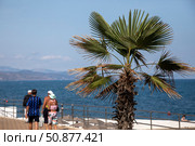 Вид на набережную в городе Алуште, Республика Крым. Редакционное фото, фотограф Николай Винокуров / Фотобанк Лори