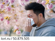 Man with pollen allergy sneezing in tissue in front of blooming sakura tree. Стоковое AI-изображение, AI-художник Евгений Харитонов / Фотобанк Лори