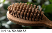 Natural bamboo brush with soft bristles for hair care in a serene setting. Стоковое AI-изображение, AI-художник Katsiaryna Repich / Фотобанк Лори
