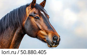 Majestic Creature: Portrait of a Brown Equine with White Blaze, a Symbol of Strength and Grace. Стоковое AI-изображение, AI-художник Данила Большаков / Фотобанк Лори