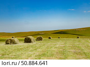 Стога сена на поле в Кабардино-Балкарии. Северный Кавказ. (2023 год) Стоковое фото, фотограф Юлия Кутыгина / Фотобанк Лори