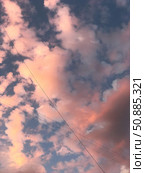 Pink sunset clouds crossed by power lines. Стоковое фото, фотограф Лариса Потехина / Фотобанк Лори