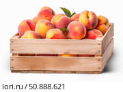Fresh peaches overflowing from wooden crate on white background. Стоковое AI-изображение, AI-художник Иван Рябоконь / Фотобанк Лори