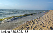 Пляж, Азовское море, Павло-Очаковская коса. Стоковое фото, фотограф Ирина / Фотобанк Лори
