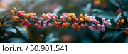 Intricate close-up of Elaeagnus Multiflora branch with ripe colorful fruit and leaf. Стоковое AI-изображение, AI-художник Данила Большаков / Фотобанк Лори