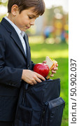 Boy packing lunch with apple and sandwich in park. Стоковое AI-изображение, AI-художник Ольга Невская / Фотобанк Лори