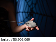 An unrecognizable woman demonstrates an elegant thin leather strip whip in a dark bedroom. Close-up of female hands with a bdsm toy. Pain and pleasure.Adult toy for slaps. Стоковое фото, фотограф Михаил Решетников / Фотобанк Лори