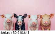 Four Different Colored Piglets Grouped Together On Pink Backdrop, Farm Animal Concept. Стоковое AI-изображение, AI-художник Данила Большаков / Фотобанк Лори