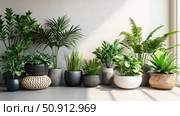 cactus home plants ai generated. Стоковое AI-изображение, AI-художник Vectorwin / Фотобанк Лори