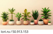 phloem plant diagram ai generated. Стоковое AI-изображение, AI-художник Vectorwin / Фотобанк Лори