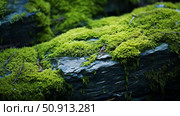 cyan blue green texture ai generated. Стоковое AI-изображение, AI-художник Vectorwin / Фотобанк Лори