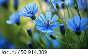 chicory blue wildflowers ai generated. Стоковое AI-изображение, AI-художник Vectorwin / Фотобанк Лори