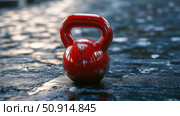 strength red kettlebell ai generated. Стоковое AI-изображение, AI-художник Vectorwin / Фотобанк Лори