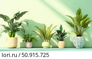pothos house plants isolated ai generated. Стоковое AI-изображение, AI-художник Vectorwin / Фотобанк Лори