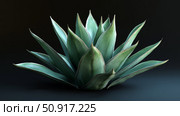 blue agave plant ai generated. Стоковое AI-изображение, AI-художник Vectorwin / Фотобанк Лори