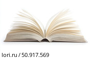 journal blank book transparent ai generated. Стоковое AI-изображение, AI-художник Vectorwin / Фотобанк Лори