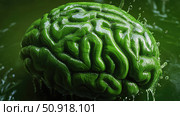 neuroplasticity brain green ai generated. Стоковое AI-изображение, AI-художник Vectorwin / Фотобанк Лори