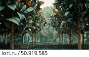 sap rubber trees ai generated. Стоковое AI-изображение, AI-художник Vectorwin / Фотобанк Лори